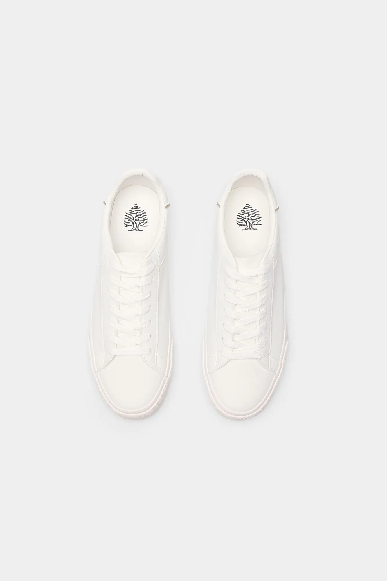 Essential trainer