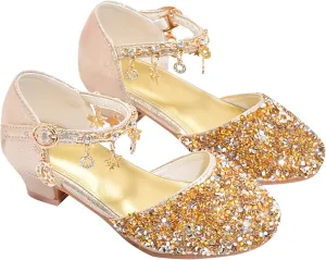 Girls Low Heel Sparkly Dress Shoes Mary Jane Flower Girls Wedding Birthday Pary Dress Shoes for Little/Big Kids
