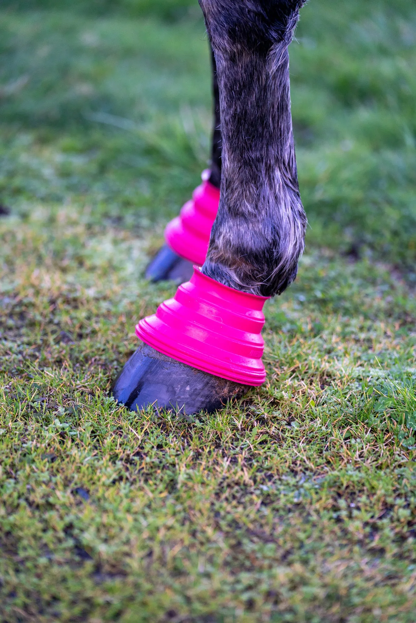 Safety Step Bell Boots